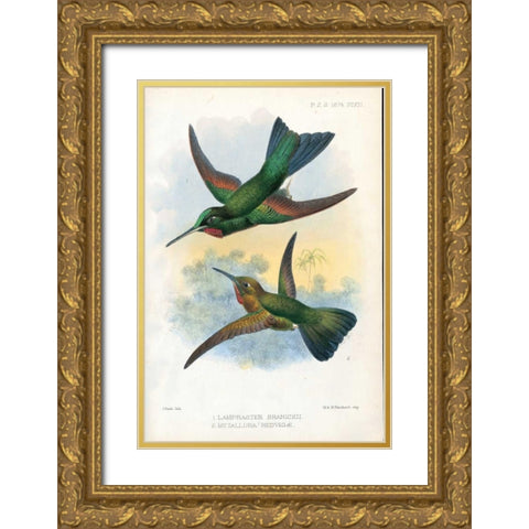 Humming Birds Gold Ornate Wood Framed Art Print with Double Matting by Smit, Joseph