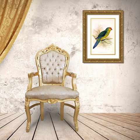 Parrot, Saisseti Gold Ornate Wood Framed Art Print with Double Matting by Smit, Joseph