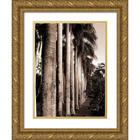 King Palms, Mauritius Gold Ornate Wood Framed Art Print with Double Matting by Blue, Cyril