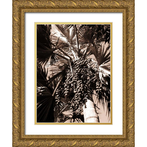 Date Palm, Mauritius Gold Ornate Wood Framed Art Print with Double Matting by Blue, Cyril