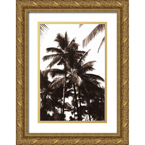 Coconut Palm, Bali Gold Ornate Wood Framed Art Print with Double Matting by Blue, Cyril