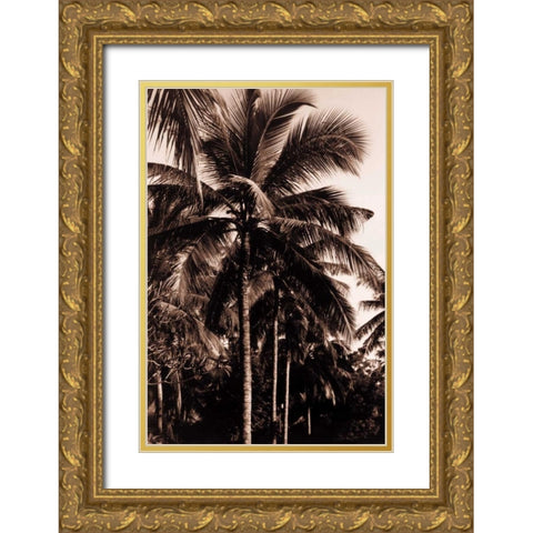 Coconut Palm, Bali Gold Ornate Wood Framed Art Print with Double Matting by Blue, Cyril