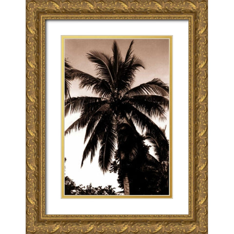 Coconut Palm, Bali Gold Ornate Wood Framed Art Print with Double Matting by Blue, Cyril