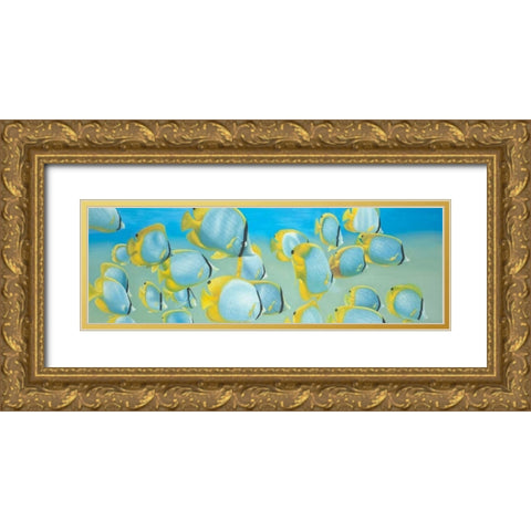 Butterfly Fishs Gold Ornate Wood Framed Art Print with Double Matting by Atelier B Art Studio