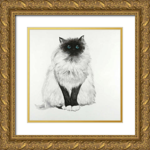 Blue Eyes Fluffy Siamese Cat Gold Ornate Wood Framed Art Print with Double Matting by Atelier B Art Studio