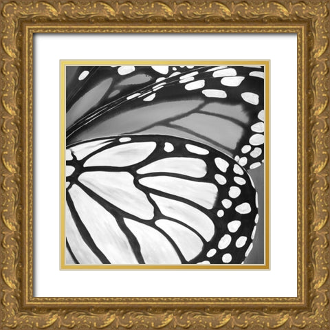 Black and White Monarch Gold Ornate Wood Framed Art Print with Double Matting by Atelier B Art Studio