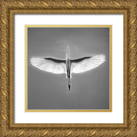 GREAT BLUE HERON IN FLIGHT Gold Ornate Wood Framed Art Print with Double Matting by Atelier B Art Studio