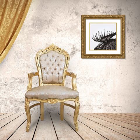 MOOSE PLUME Gold Ornate Wood Framed Art Print with Double Matting by Atelier B Art Studio