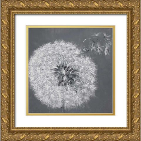 Blowing Dandelion Gold Ornate Wood Framed Art Print with Double Matting by Atelier B Art Studio