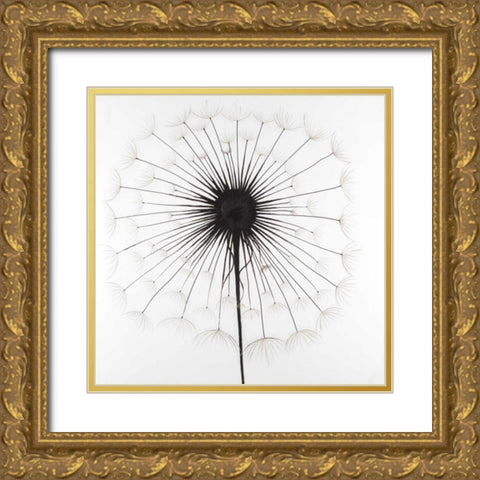 Dandelion Gold Ornate Wood Framed Art Print with Double Matting by Atelier B Art Studio