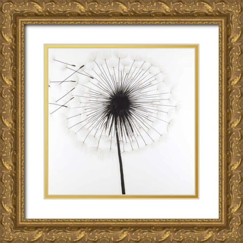 Silhouette of Dandelion Gold Ornate Wood Framed Art Print with Double Matting by Atelier B Art Studio