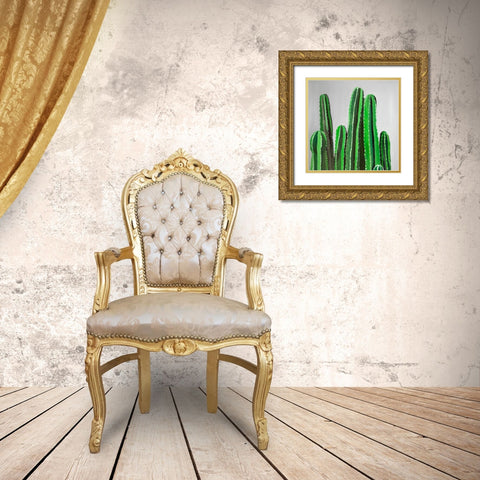 CACTUS CANDLES Gold Ornate Wood Framed Art Print with Double Matting by Atelier B Art Studio