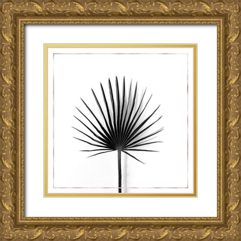 CABBAGE PALM LEAF WITH ROSE LINES Gold Ornate Wood Framed Art Print with Double Matting by Atelier B Art Studio