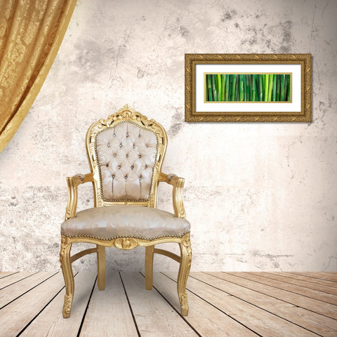 Green Bamboo Gold Ornate Wood Framed Art Print with Double Matting by Atelier B Art Studio