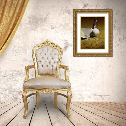GOLF CLOSEUP Gold Ornate Wood Framed Art Print with Double Matting by Atelier B Art Studio