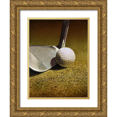 GOLF CLOSEUP Gold Ornate Wood Framed Art Print with Double Matting by Atelier B Art Studio