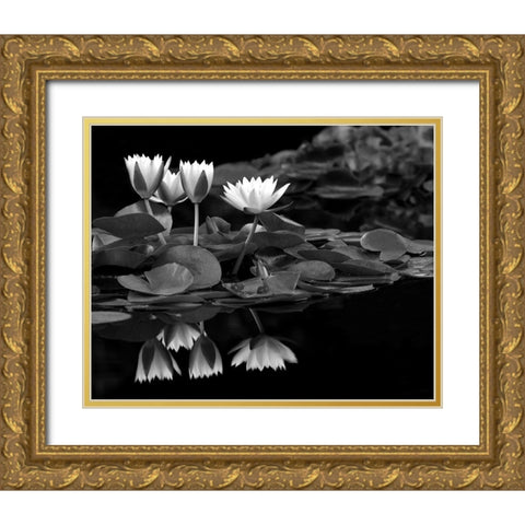 Reflections on Water Gold Ornate Wood Framed Art Print with Double Matting by Frates, Dennis