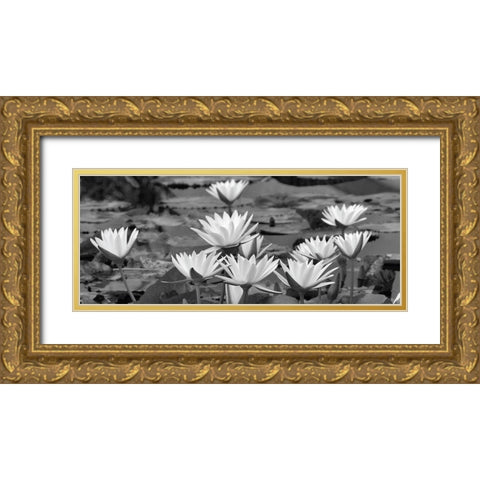 White Innocence Water Gold Ornate Wood Framed Art Print with Double Matting by Frates, Dennis