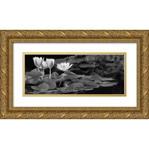 Hughes Water Garden Gold Ornate Wood Framed Art Print with Double Matting by Frates, Dennis