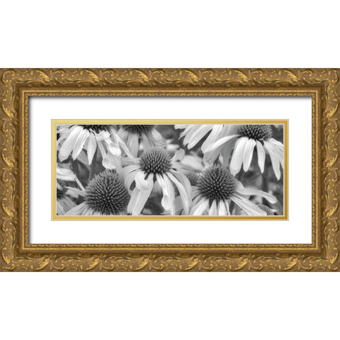 Echinacea Sunrise Gold Ornate Wood Framed Art Print with Double Matting by Frates, Dennis