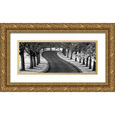 Maple Tree Lined Drive Gold Ornate Wood Framed Art Print with Double Matting by Frates, Dennis