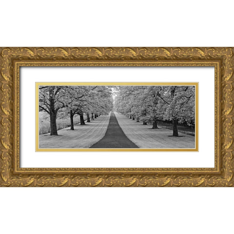 Maple Lined Road Gold Ornate Wood Framed Art Print with Double Matting by Frates, Dennis