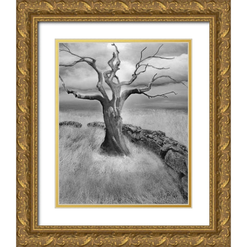 The Meadow Gold Ornate Wood Framed Art Print with Double Matting by Fisch, Ellen