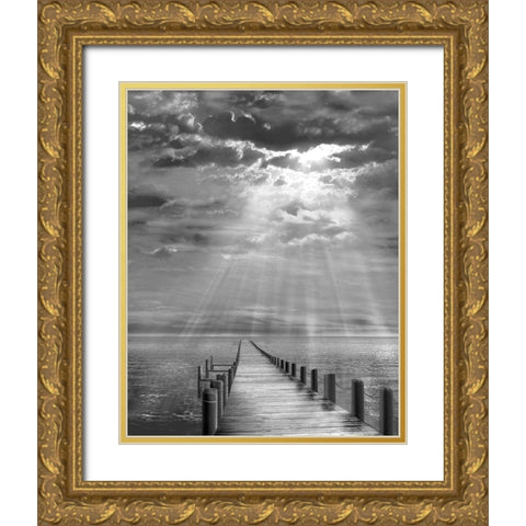 Storm Clearing Gold Ornate Wood Framed Art Print with Double Matting by Fisch, Ellen