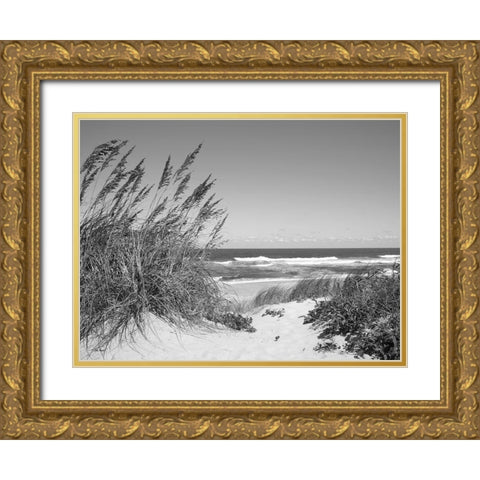 Dune Path Gold Ornate Wood Framed Art Print with Double Matting by Turek, Eve