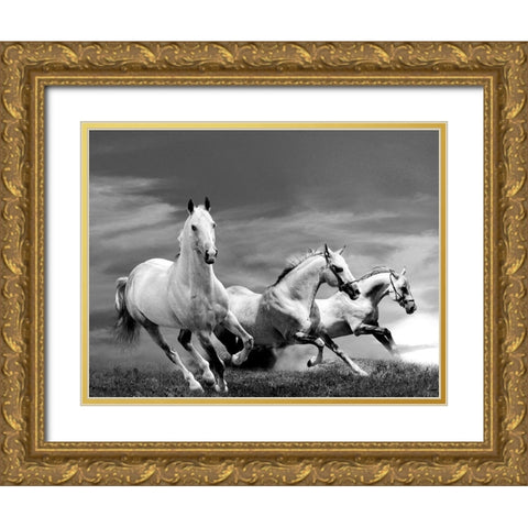White Stallions Gold Ornate Wood Framed Art Print with Double Matting by Anonymous