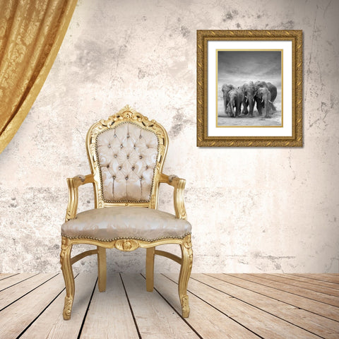 Elephant Herd Gold Ornate Wood Framed Art Print with Double Matting by Byrdyak, V.