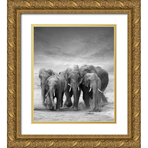 Elephant Herd Gold Ornate Wood Framed Art Print with Double Matting by Byrdyak, V.
