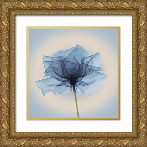 Layered Veil, Blue Gold Ornate Wood Framed Art Print with Double Matting by Anonymous