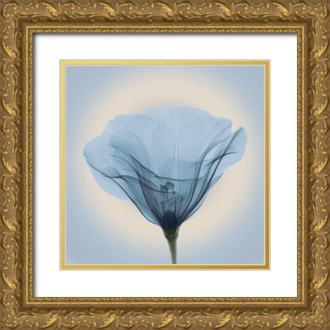 Poppy in Lace, Blue Gold Ornate Wood Framed Art Print with Double Matting by Anonymous