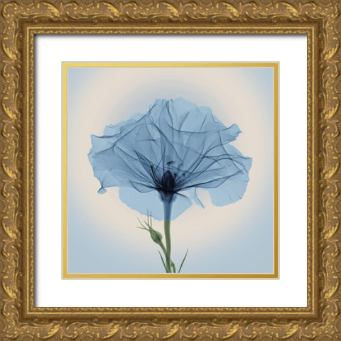 Bud in Bloom, Blue Gold Ornate Wood Framed Art Print with Double Matting by Anonymous