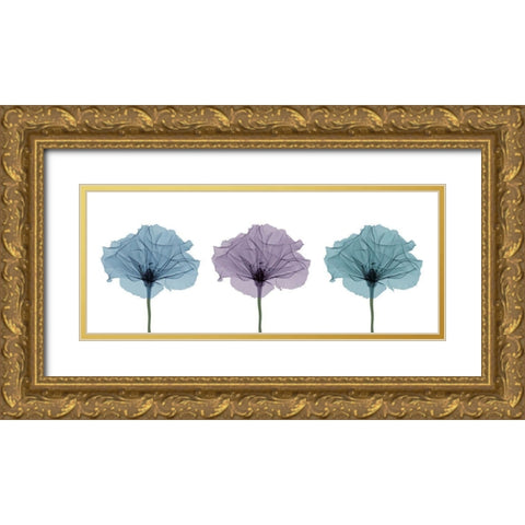 Three Flowers in Color Gold Ornate Wood Framed Art Print with Double Matting by Anonymous