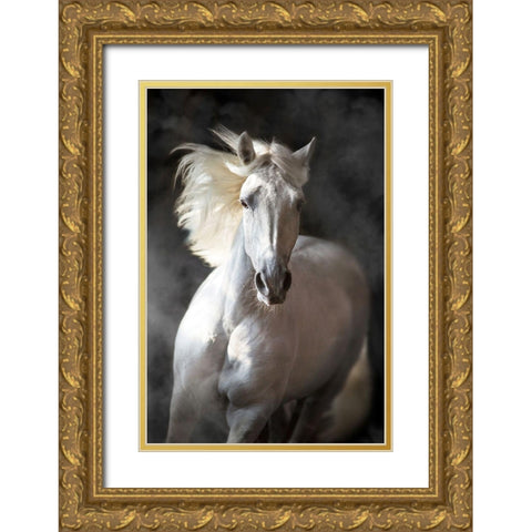 White Andalusian Gold Ornate Wood Framed Art Print with Double Matting by Golubenko, S.