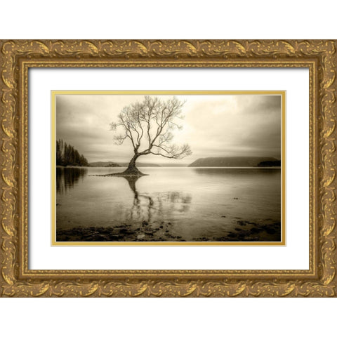 Lone Tree in a Lake Gold Ornate Wood Framed Art Print with Double Matting by Rushton, Ian