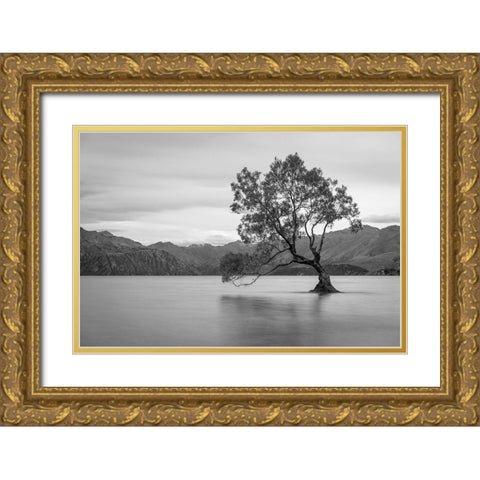 Iconic Lake Tree Gold Ornate Wood Framed Art Print with Double Matting by Anon