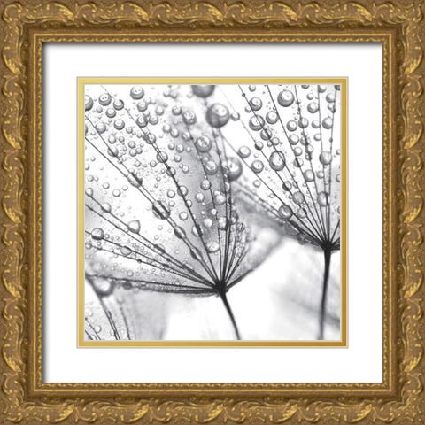 Delicate Wisps II Gold Ornate Wood Framed Art Print with Double Matting by Anonymous