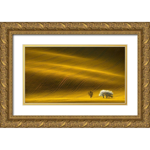 Majestic Field with White Trees Gold Ornate Wood Framed Art Print with Double Matting by Uladzislau, S.