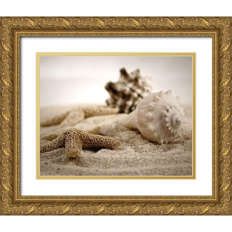 Seashells in the Sand Gold Ornate Wood Framed Art Print with Double Matting by Cunningham, S.