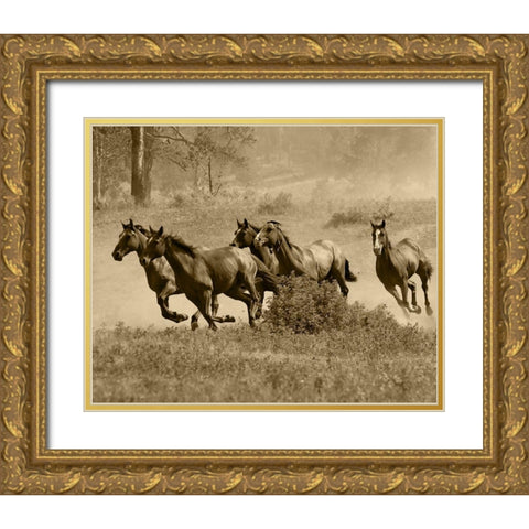 Wild Horses II Gold Ornate Wood Framed Art Print with Double Matting by Anonymous