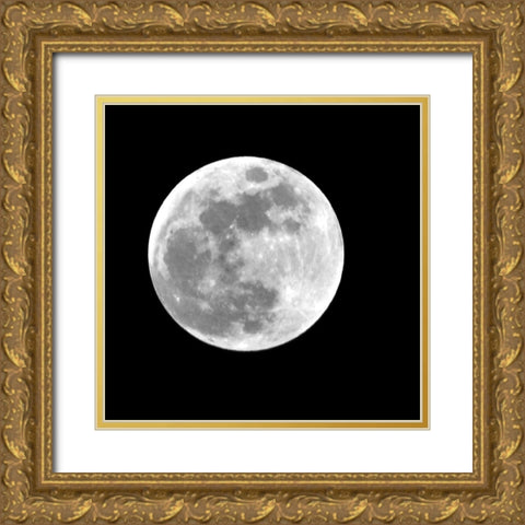 Eclipse I Gold Ornate Wood Framed Art Print with Double Matting by Anonymous