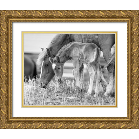 Like Mother, Like Son Gold Ornate Wood Framed Art Print with Double Matting by Turek, Eve