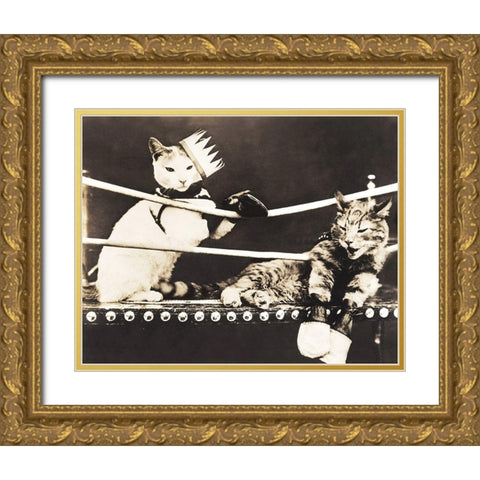 Catfight Gold Ornate Wood Framed Art Print with Double Matting by Anonymous