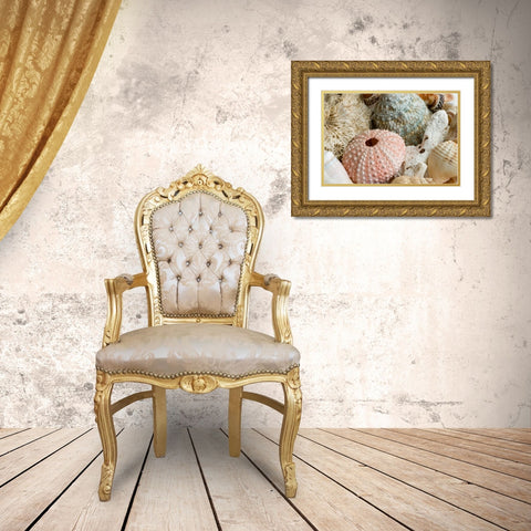 Sea Urchins Gold Ornate Wood Framed Art Print with Double Matting by Anonymous