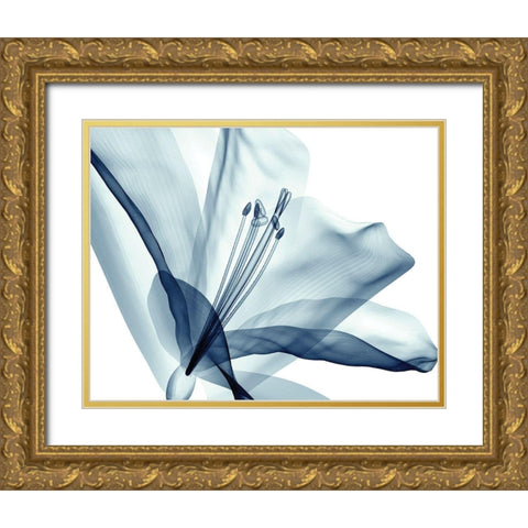 Transparent Floral Beauty Gold Ornate Wood Framed Art Print with Double Matting by Anonymous