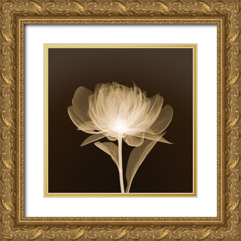 Full Bloom (sepia) Gold Ornate Wood Framed Art Print with Double Matting by Anonymous