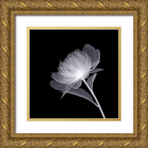 Full Bloom Gold Ornate Wood Framed Art Print with Double Matting by Anonymous